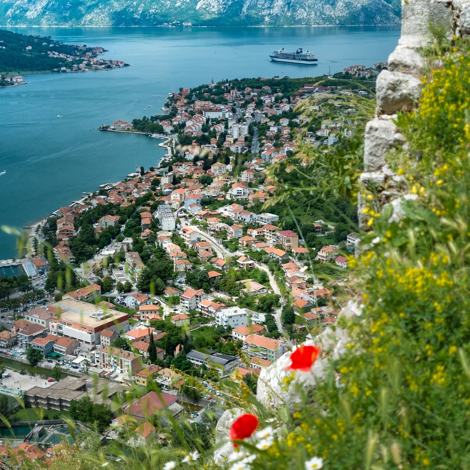 Local property support in Tivat