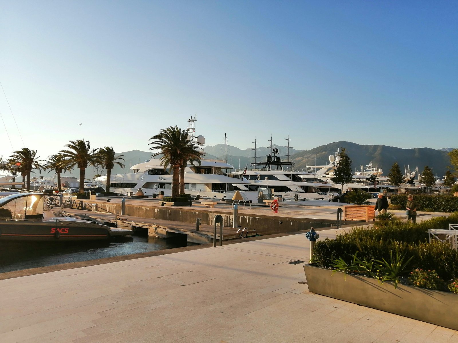 Marina and yachts in Tivat